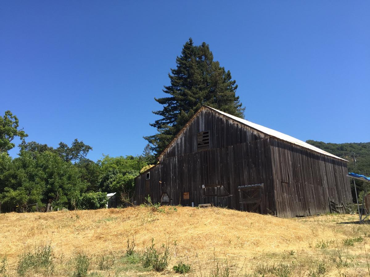 סנטה רוזה The Gables Wine Country Inn מראה חיצוני תמונה