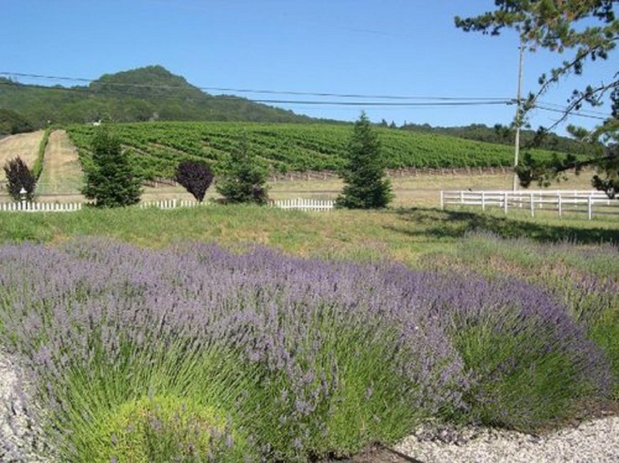 סנטה רוזה The Gables Wine Country Inn מראה חיצוני תמונה